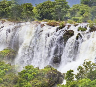 Shivanasamudra Waterfall: Day Trips and Tours from Bangalore