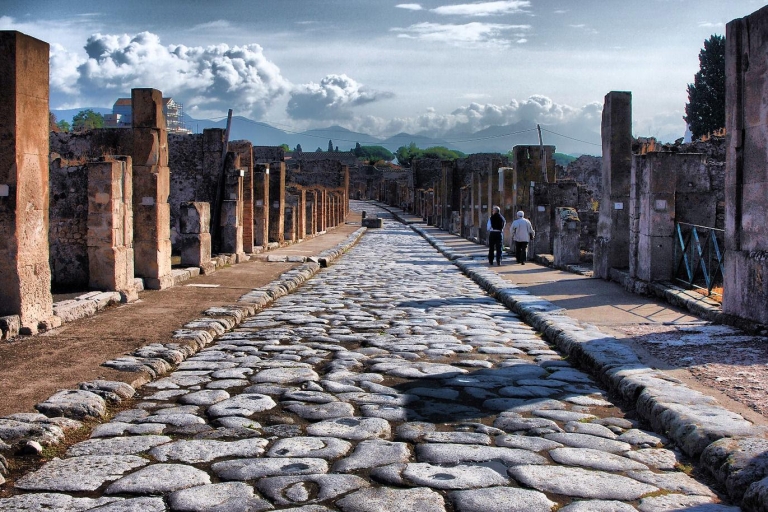 Naples: Pompeii and Mt. Vesuvius with Pizza or Wine Tasting Regular French tour with pizza lunch