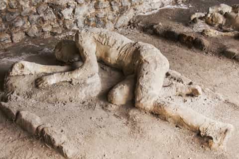 Naples: Pompeii and Mt. Vesuvius with Pizza or Wine Tasting