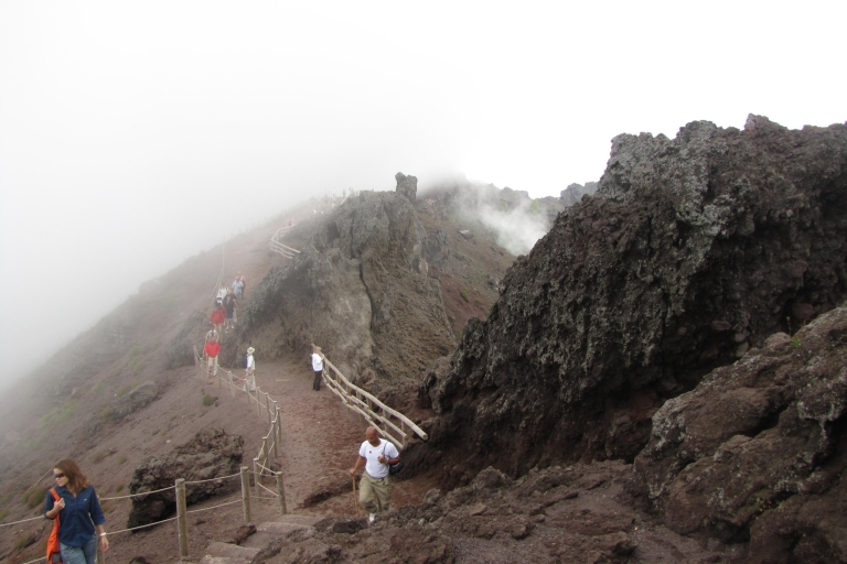 Naples: Pompeii and Mt. Vesuvius with Pizza or Wine Tasting VIP Small Group with Pizza Lunch