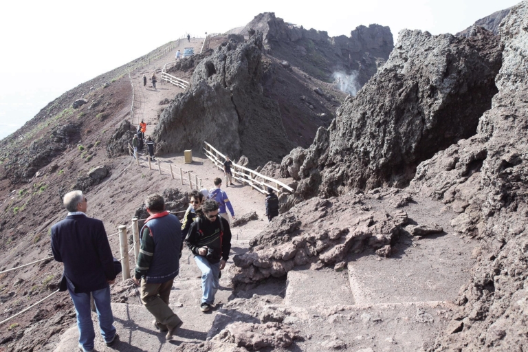 Naples: Pompeii and Mt. Vesuvius with Pizza or Wine Tasting VIP Small Group with Pizza Lunch