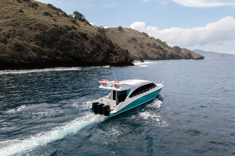 Premium Komodo Day Cruise with Tour Guide & GoPro Camera