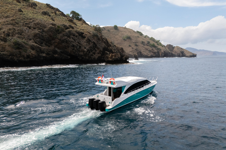 Premium Komodo Day Cruise with Tour Guide & GoPro Camera