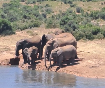 Mpumalanga: Enriching Community & Cultural Exploration Tour