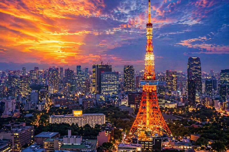 Tokyo: Private Luxury Tokyo City Tour With Driver & Guide Tokyo Private City Tour
