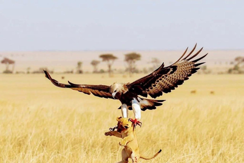 12 Days Tanzania Adventure: Safari, Culture &amp; Mountains