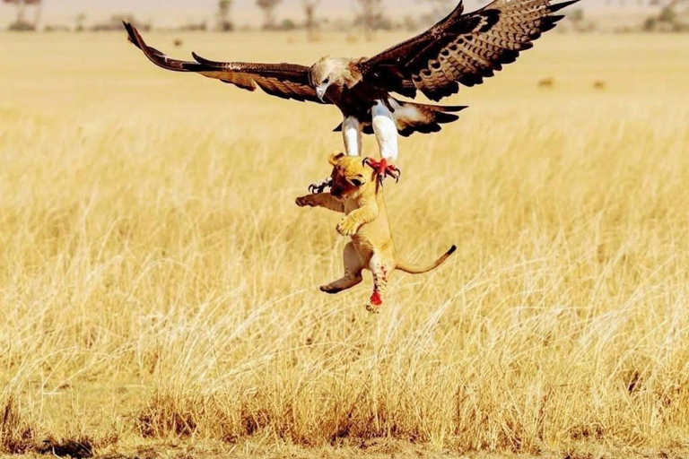 12 Days Tanzania Adventure: Safari, Culture &amp; Mountains