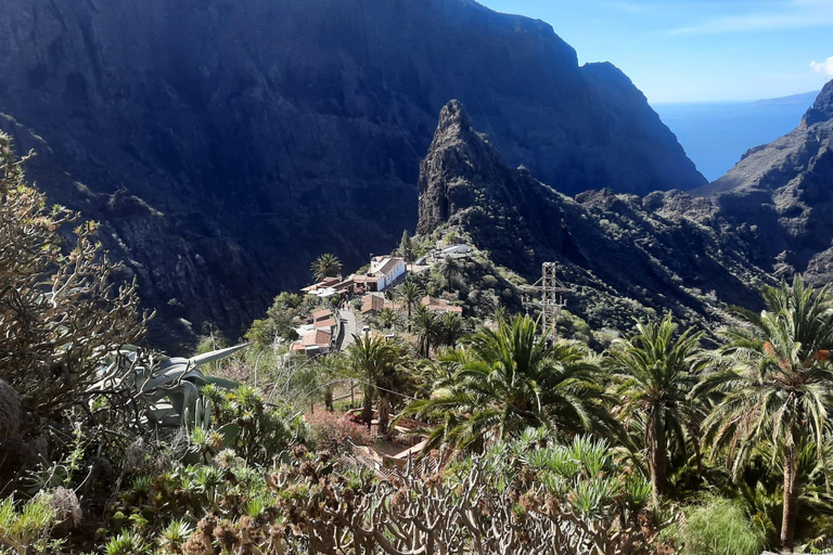 Teneryfa: Wycieczka na Teide i do doliny Masca