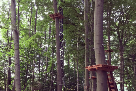 Kletterwald Sögel High Ropes Park Entry Ticket 3 Hours - Kletterwald Sögel High Ropes Park Entry Ticket