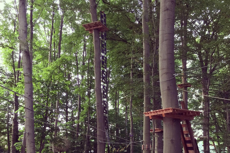 Kletterwald Sögel High Ropes Park Entry Ticket 3 Hours - Kletterwald Sögel High Ropes Park Entry Ticket