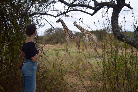 Arusha: Paseo con jirafas