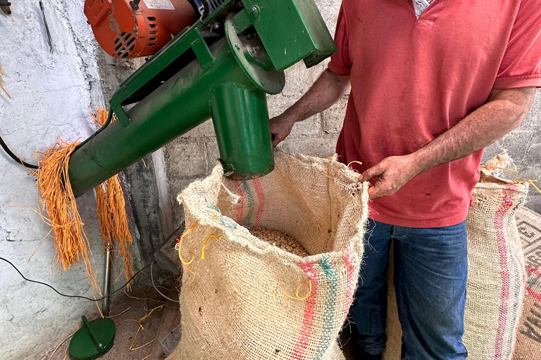 Medellín: 2-Day Jardín and Tapartó Tour with Accommodation