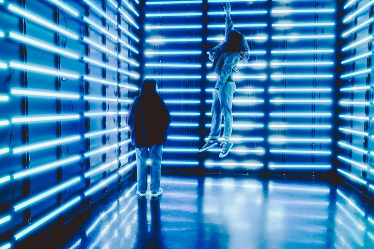 Chicago: bilet wstępu do muzeum WNDR