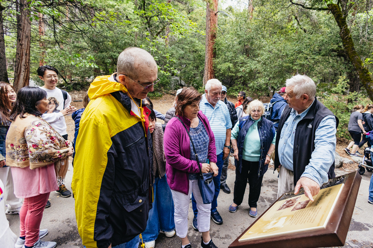 From San Francisco: Yosemite National Park Tour in English