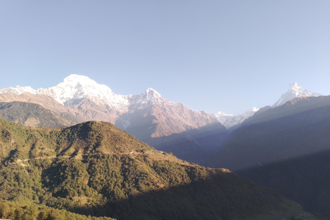 Pokhara: 7 Day Annapurna Base Camp Trek with Wildlife Tour