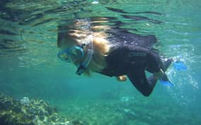 Snorkelling experience in south of Gran Canaria