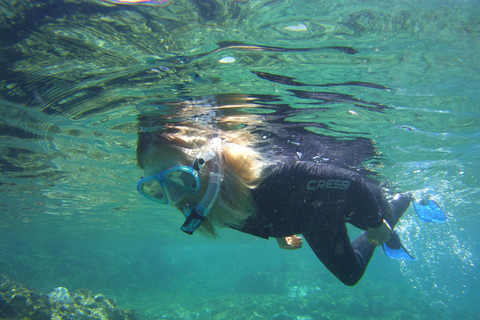 Experiência de mergulho com snorkel no sul de Gran Canaria