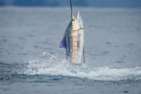 Fishing sporting zanzibar