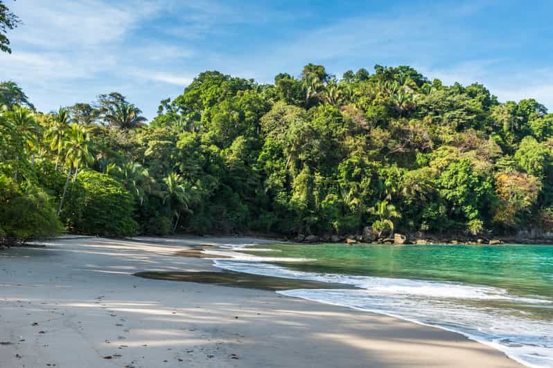 San Jose: Manuel Antonio National Park Day Trip with Lunch | GetYourGuide