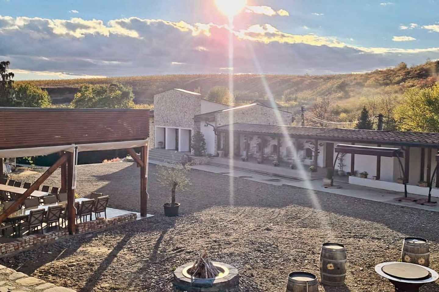 Vínræktartúr og einka vínskoðun - einn dags einkaferð