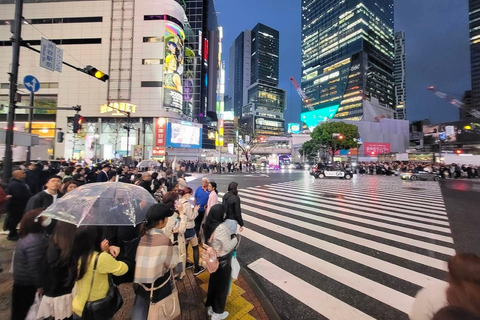 Tokyo: Private City Day Tour with English speaking Driver