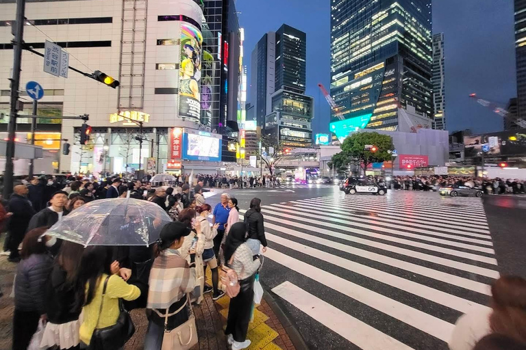Tokyo: Private City Day Tour with English speaking Driver