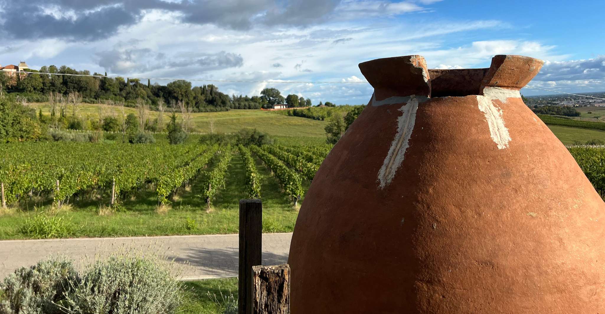 Tour & degustazione presso Tenuta la Viola