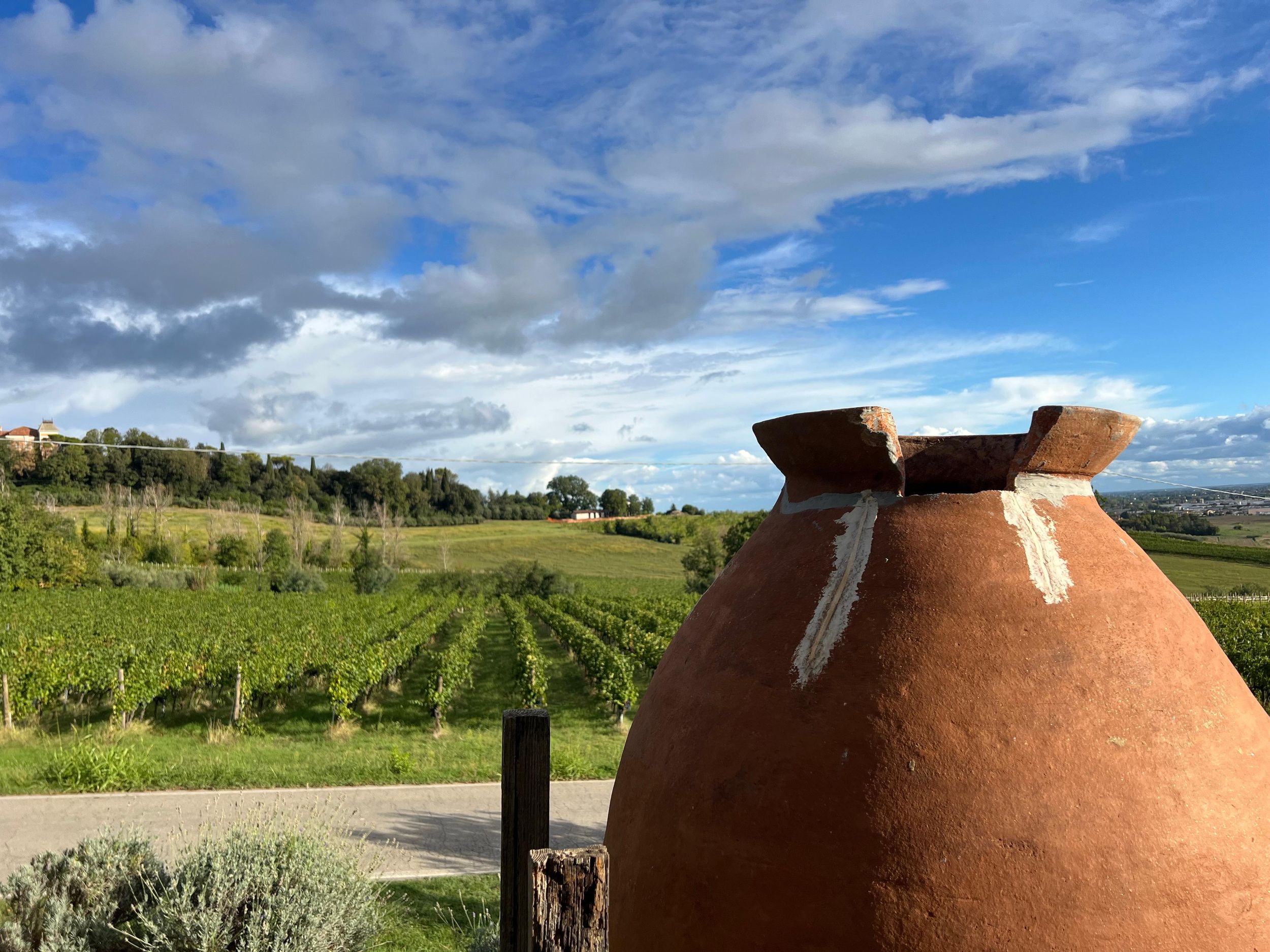 Tour & Verkostung auf dem Weingut Tenuta la Viola