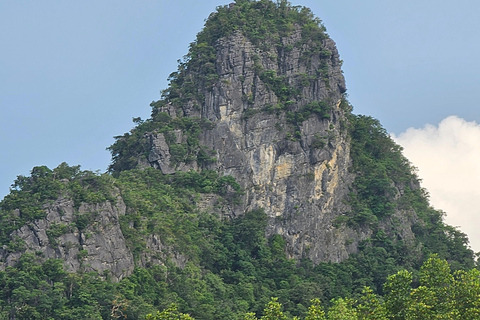 Langkawi: 3-Hour Shared Kilim Geoforest Mangrove Boat Tour