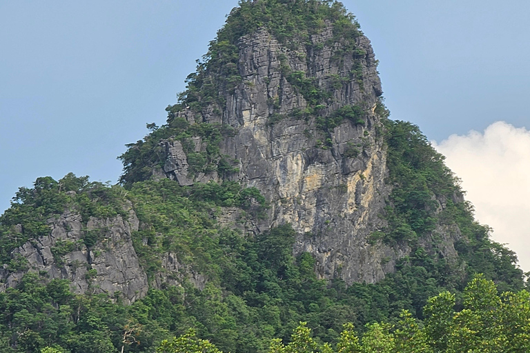 Langkawi: 3-Hour Shared Kilim Geoforest Mangrove Boat Tour