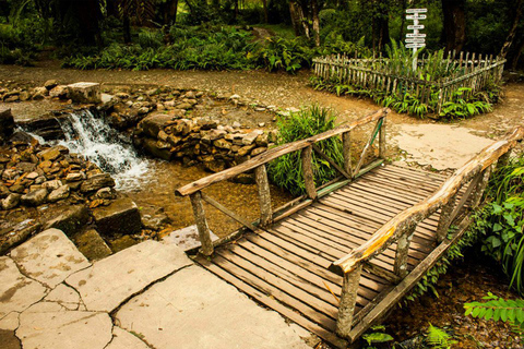 Kathmandu: Excursão de dia inteiro ao Jardim Botânico Godavari