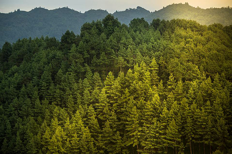 Nagarkot Sonnenaufgangstour von Kathmandu aus