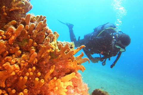 Diving baptism in Puerto de Carmen 2 Dives. Free photos