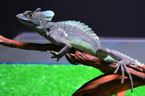 Benidorm: Terra Natura and Aqua Natura Combo Day Ticket Benidorm: Terra Natura and Aqua Natura 1-Day Ticket
