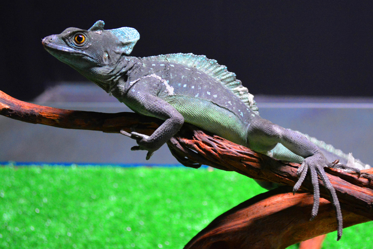 Benidorm: Terra Natura and Aqua Natura Combo Day Ticket Benidorm: Terra Natura and Aqua Natura 1-Day Ticket