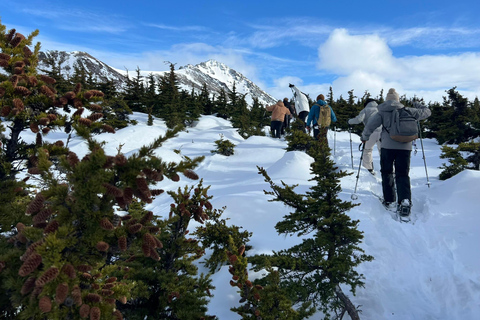 From Anchorage: Glen Alps Beginner's Snowshoeing Adventure