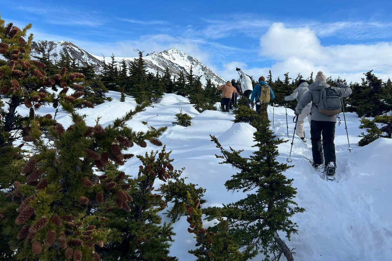 From Anchorage: Glen Alps Beginner's Snowshoeing Adventure