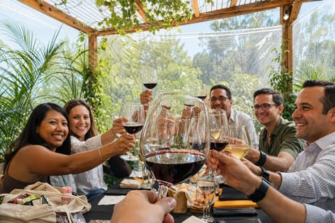 Mexico City: Wine Tasting Experience in La Condesa