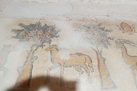 Amman: Madaba, Mount Nebo, and Dead Sea Day Trip Madaba, Nebo, and the Dead Sea Tickets and lunch included