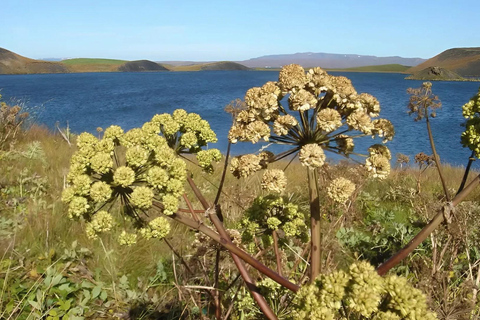 Private Diamond Circle Tour from Akureyri