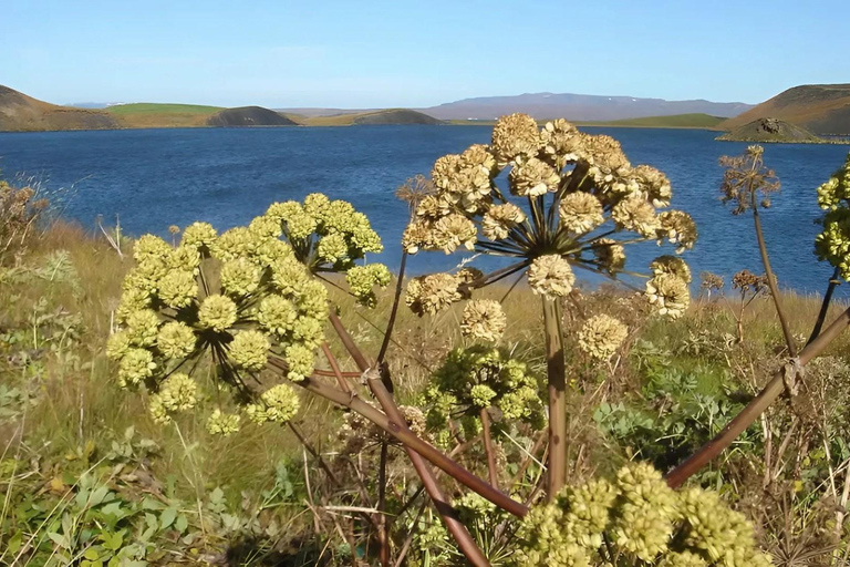 Private Diamond Circle Tour from Akureyri