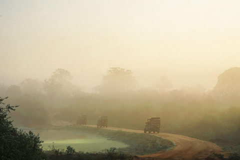 W pełni załadowana Sri Lanka | BEZPŁATNA wycieczka do Sigiriya i Dambulla