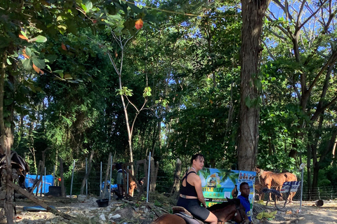 Montego Bay: Horseback Riding and Dunn&#039;s River Falls Tour