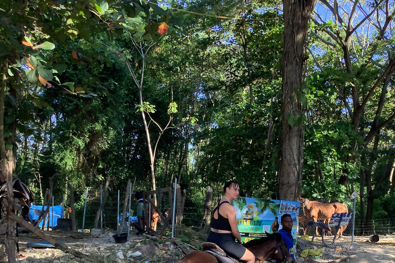 Montego Bay: Horseback Riding and Dunn's River Falls Tour