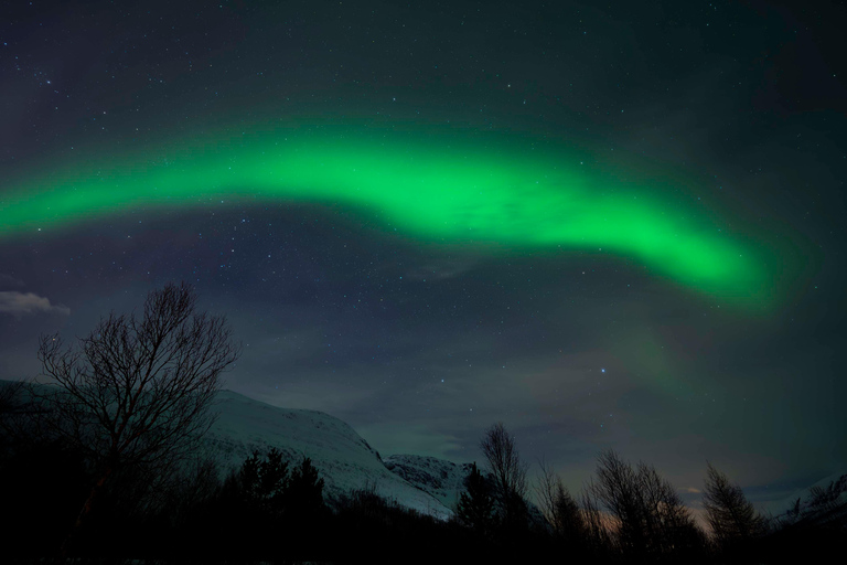 Tromsø: Electric Snow Scooter Ride and Northern Lights Hunt