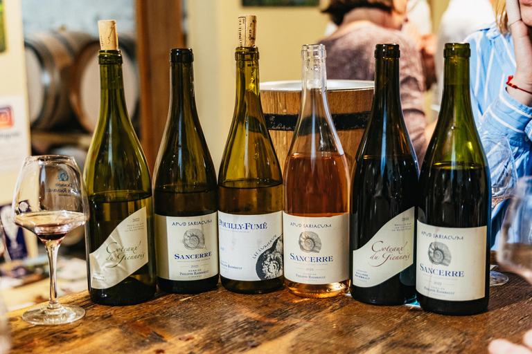 From Paris: Private Sancerre Wine Tour w 10 Tastings & Lunch