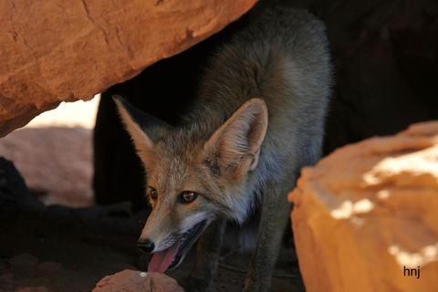 Monument Valley: Scenic 3.5-Hour Cultural Tour