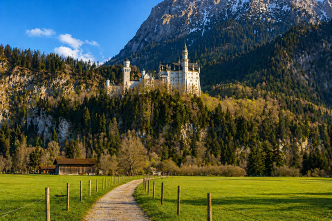 Tegelberg: Neuschwanstein Scenic Guided Photo Tour & Ticket
