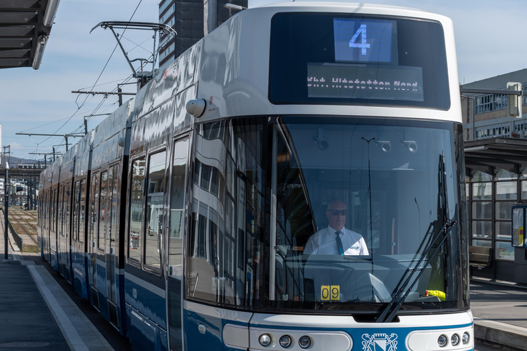 Aventura en transporte por Zúrich: Rueda dentada, Funicular y tour en barcoExcluyendo las subidas más largas