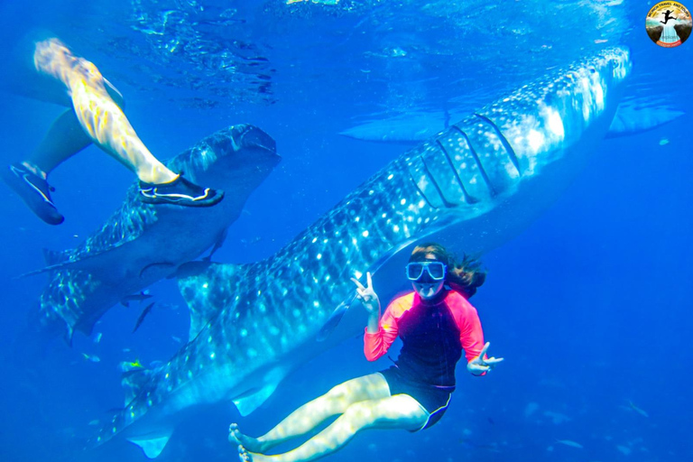 Cebu: 2-Day Island-Hopping, Canyoneering, and Whale Shark